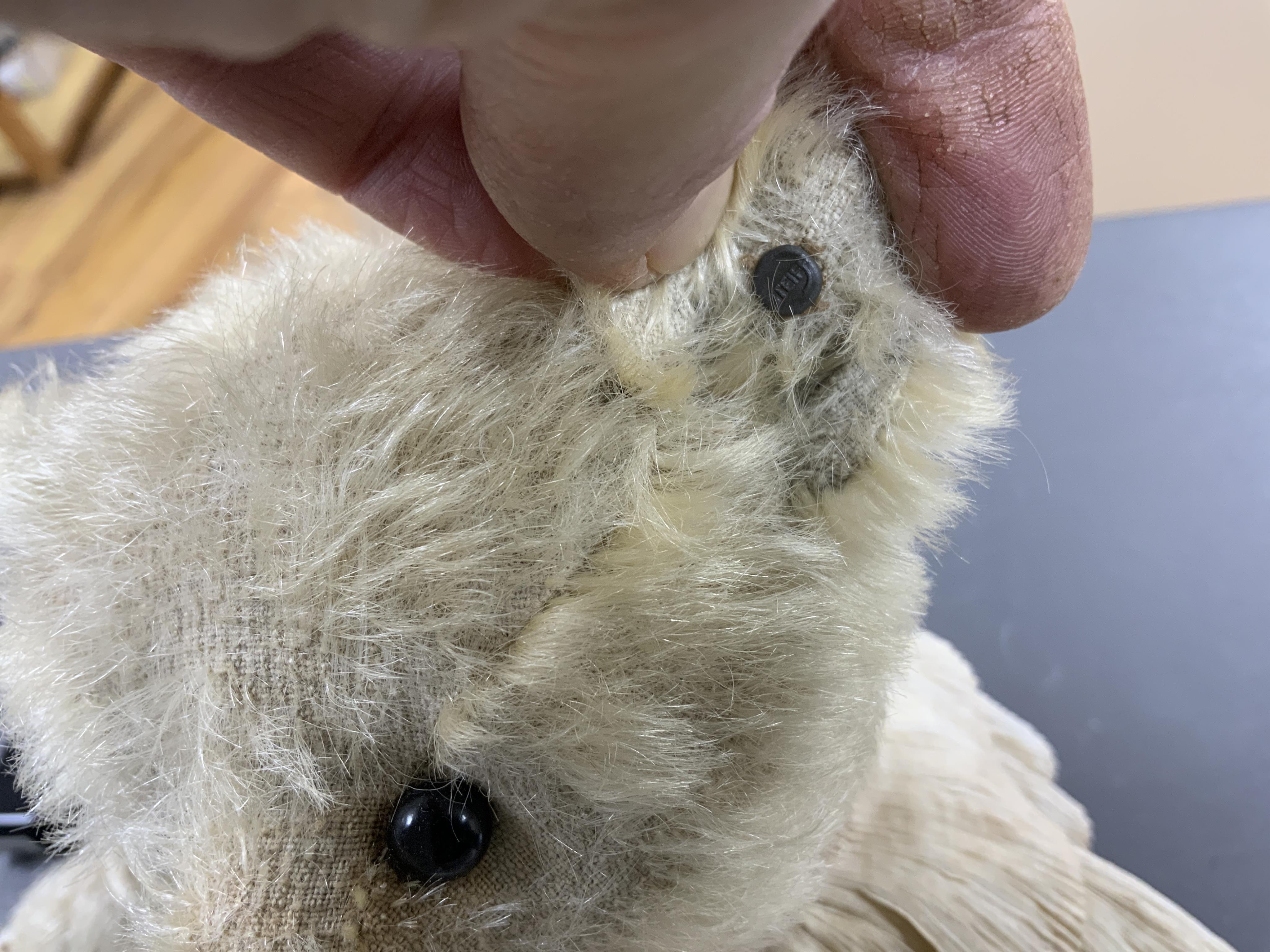 A Steiff blonde teddy bear, c.1907, approx. 36cm long